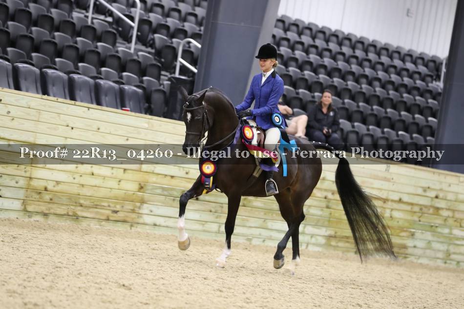 Proof 22R13_04260