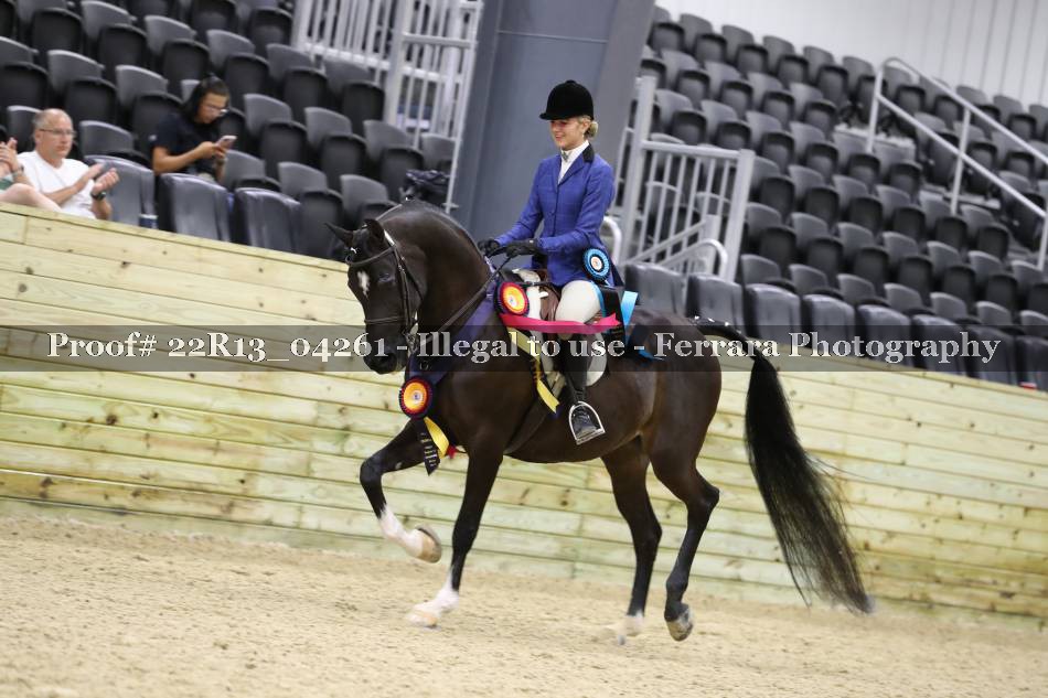 Proof 22R13_04261