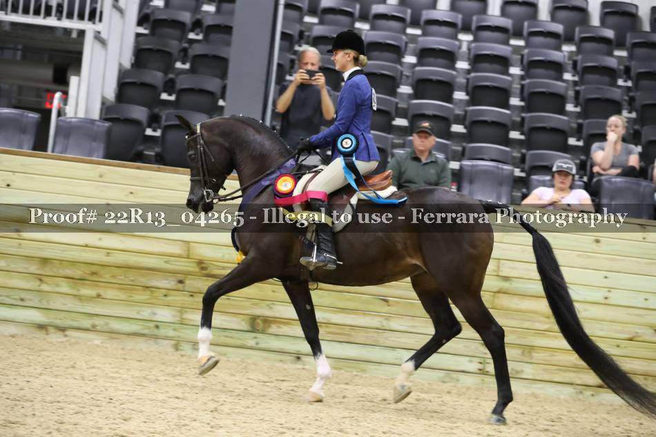 Proof 22R13_04265