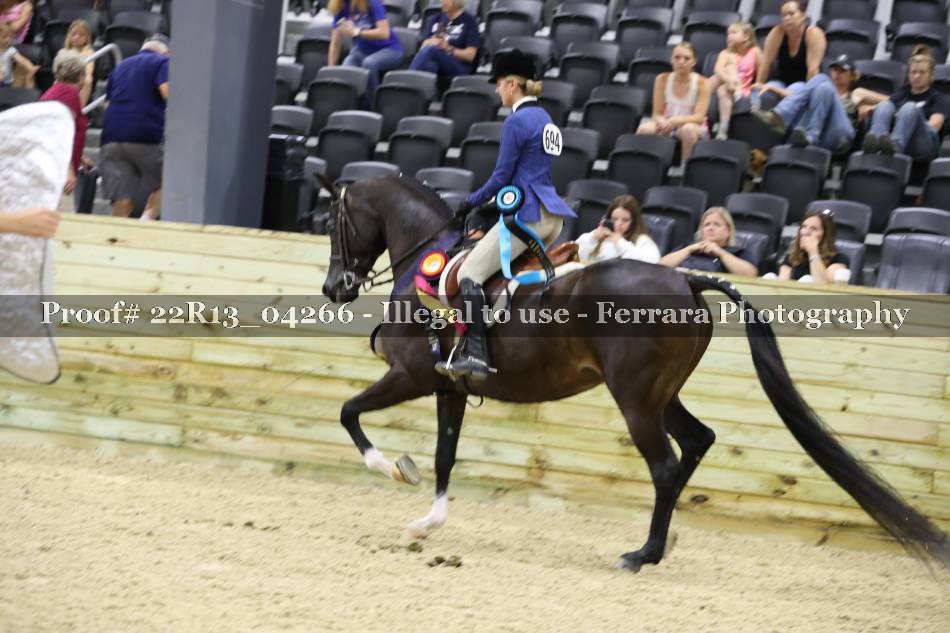 Proof 22R13_04266