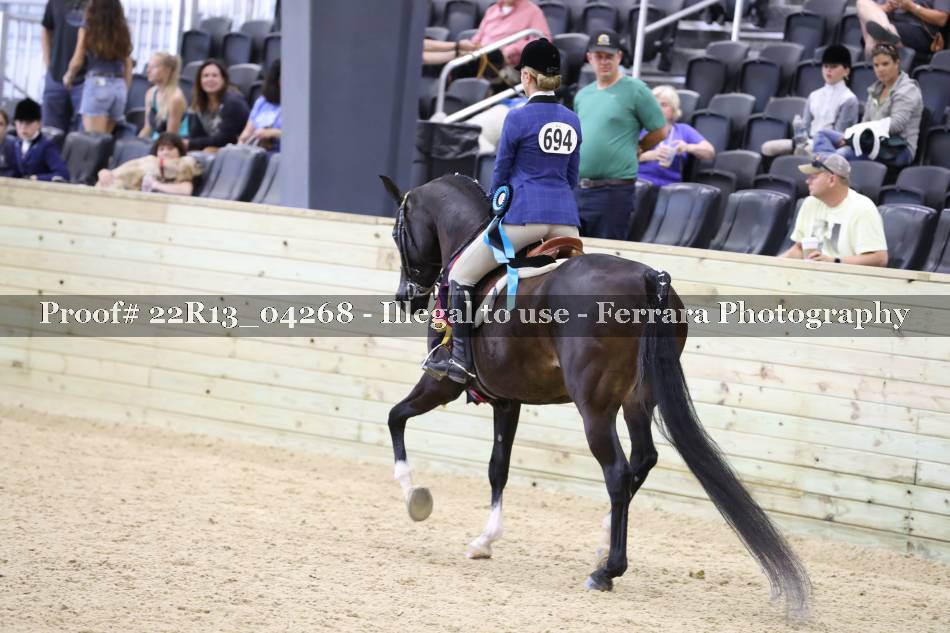Proof 22R13_04268