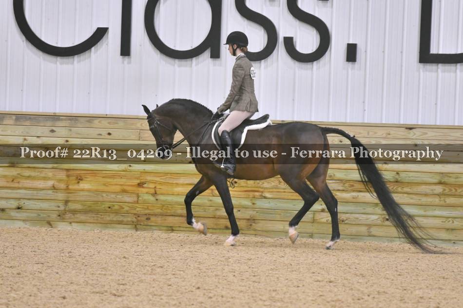 Proof 22R13_04269
