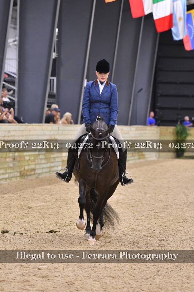 Proof 22R13_04272