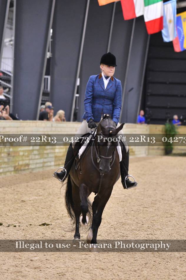 Proof 22R13_04273