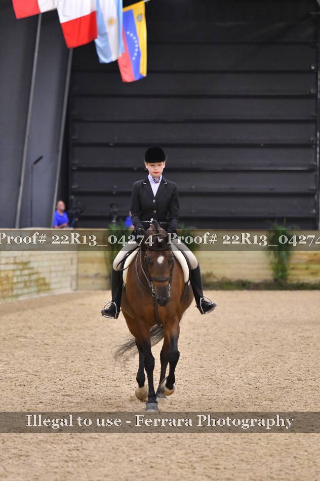 Proof 22R13_04274