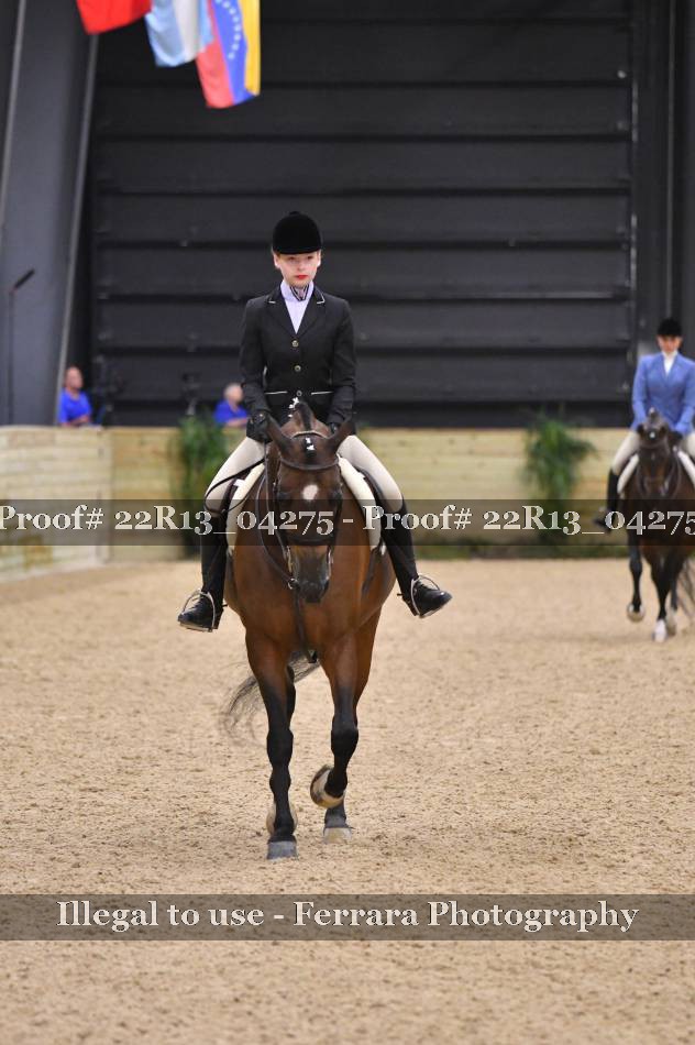 Proof 22R13_04275