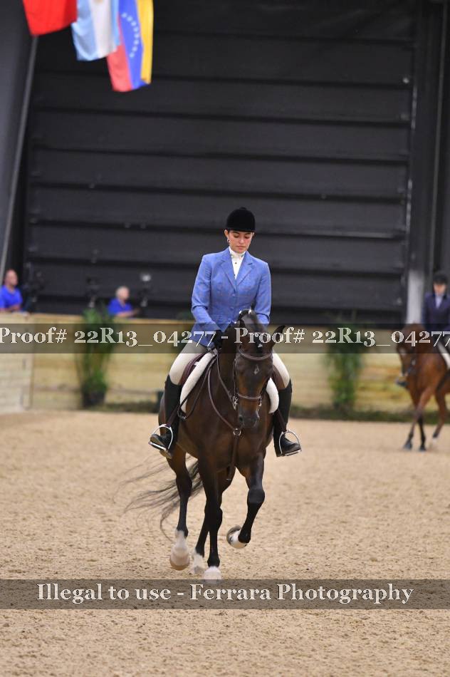 Proof 22R13_04277