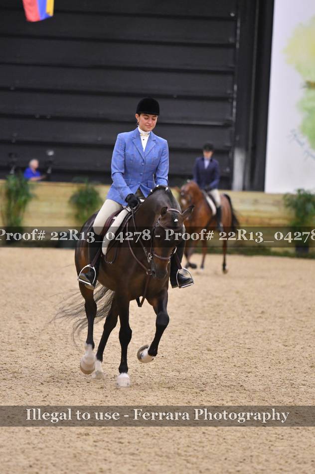 Proof 22R13_04278