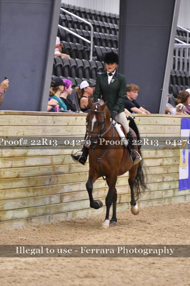 Proof 22R13_04279