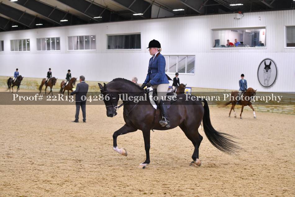 Proof 22R13_04286