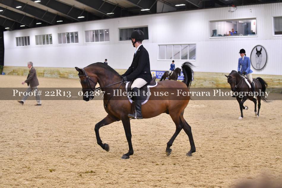 Proof 22R13_04287