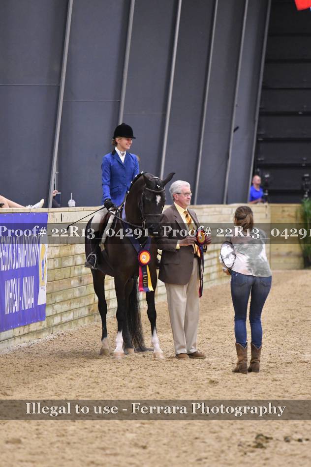 Proof 22R13_04291