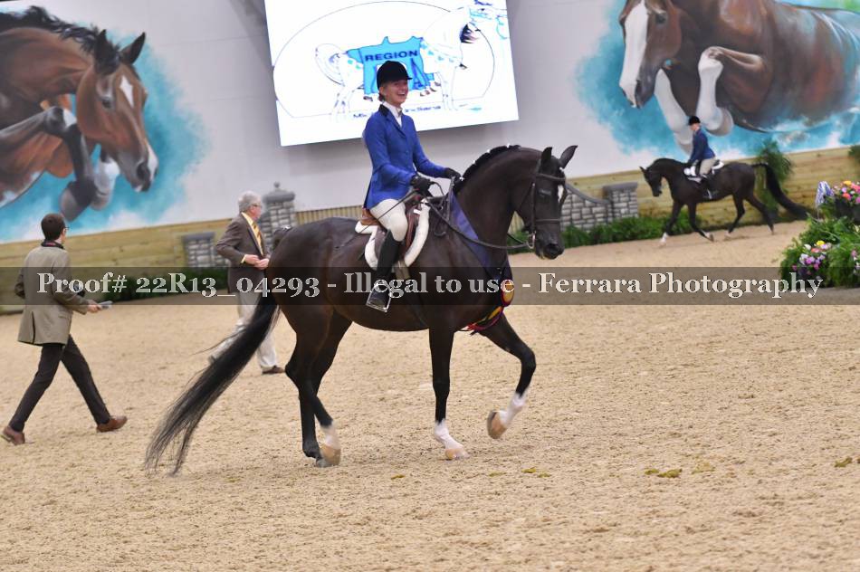 Proof 22R13_04293
