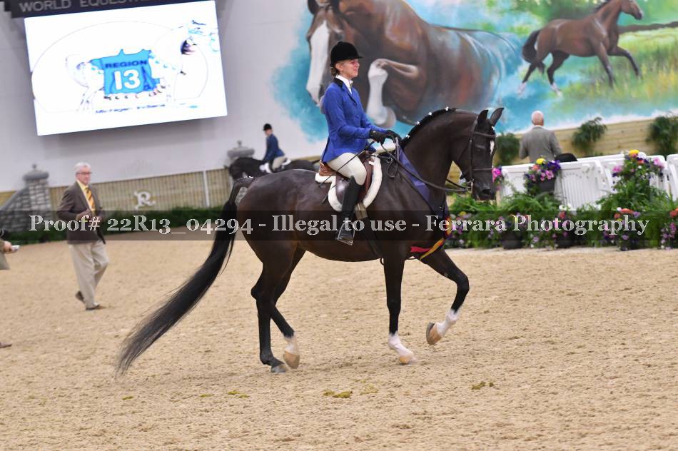 Proof 22R13_04294