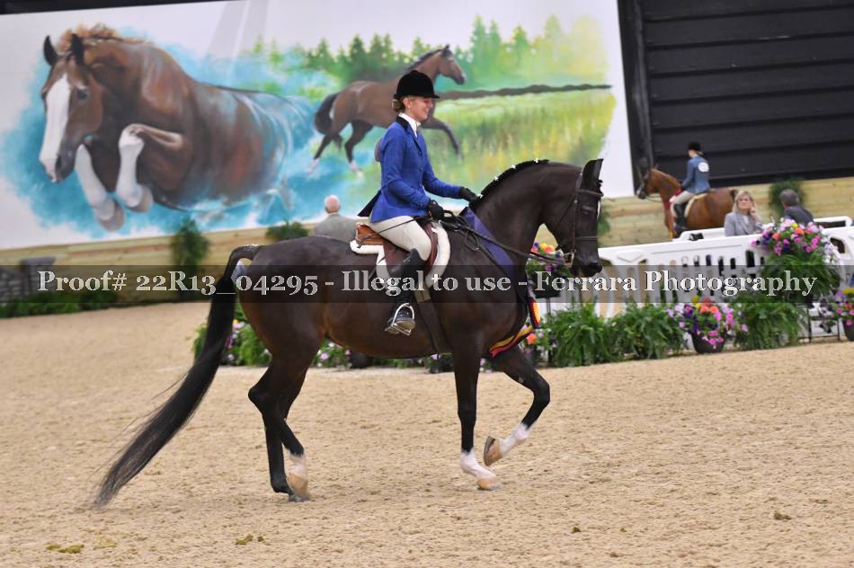 Proof 22R13_04295