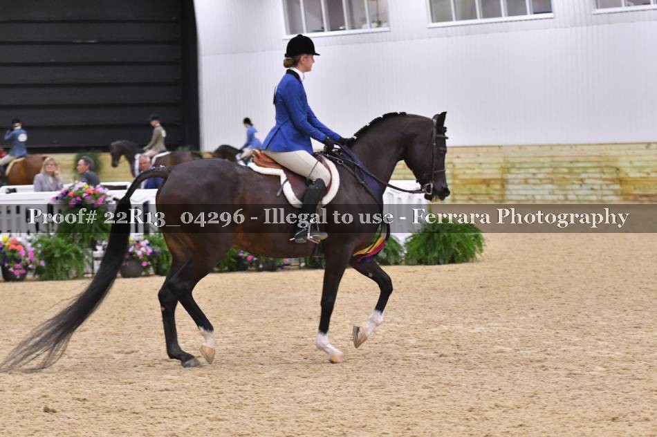 Proof 22R13_04296