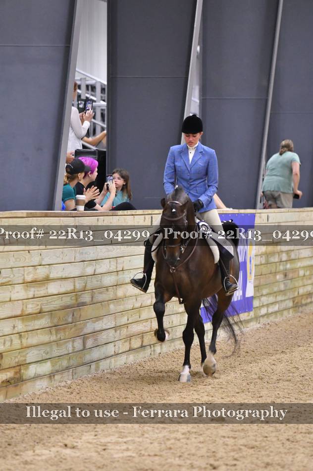 Proof 22R13_04299