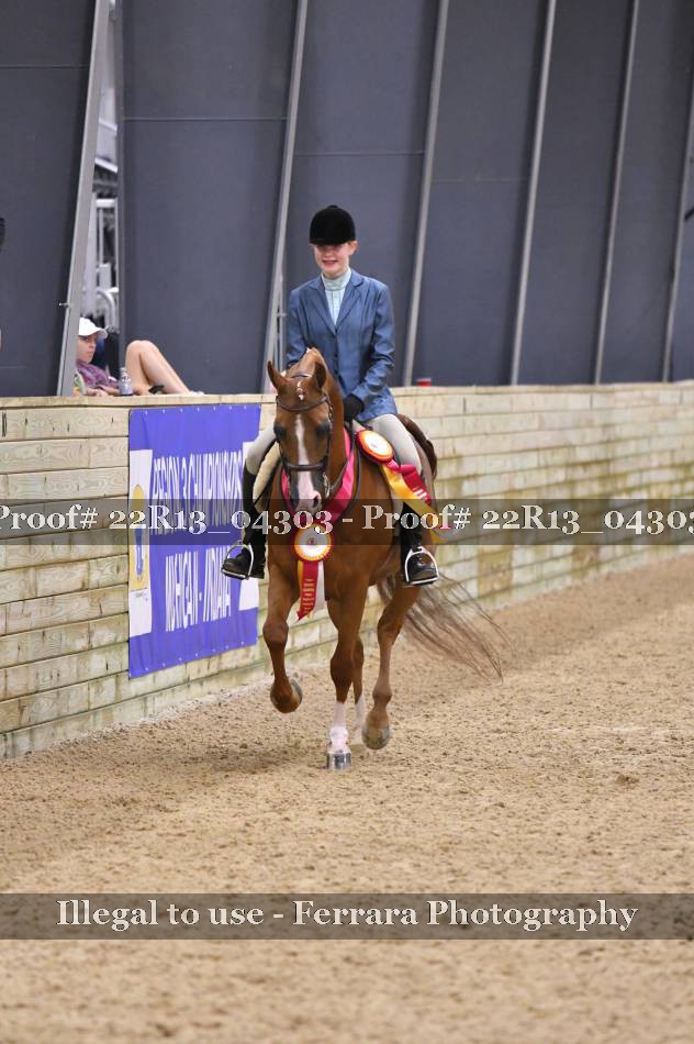Proof 22R13_04303