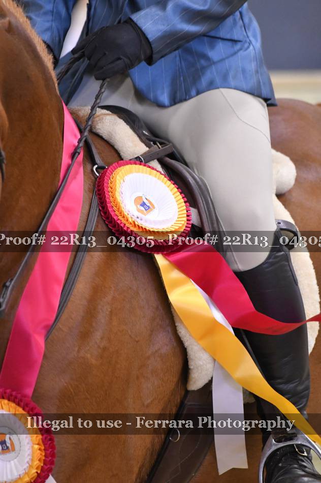 Proof 22R13_04305