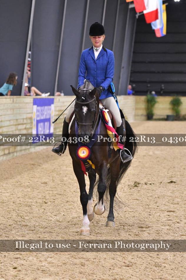 Proof 22R13_04308