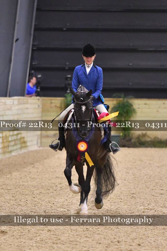Proof 22R13_04311