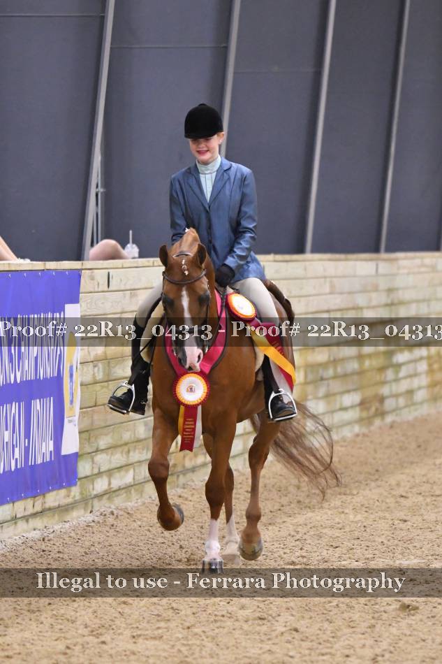 Proof 22R13_04313