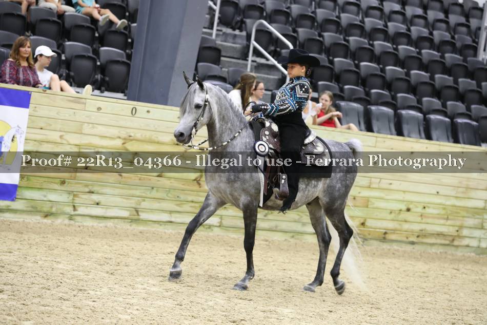 Proof 22R13_04366