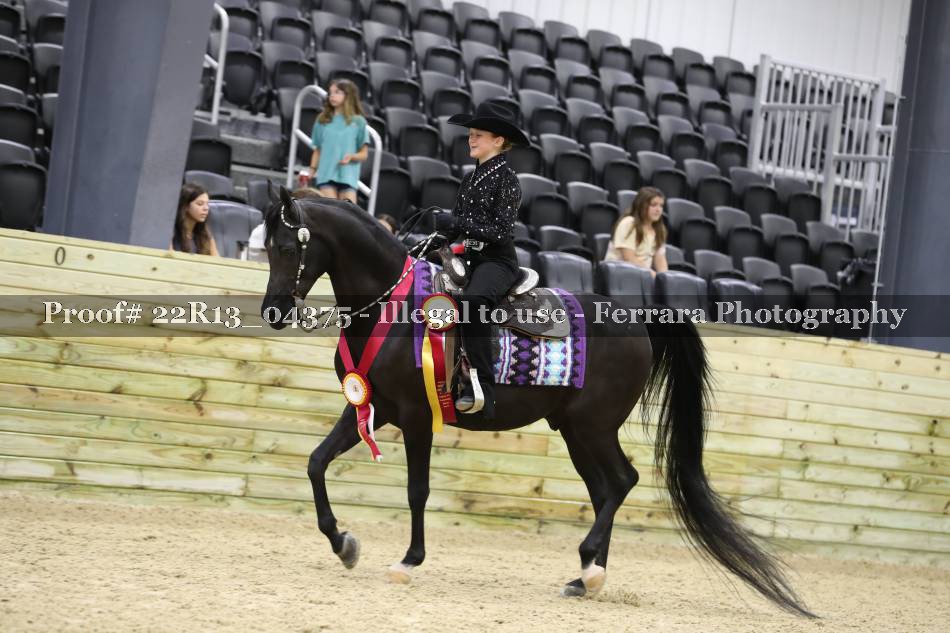 Proof 22R13_04375