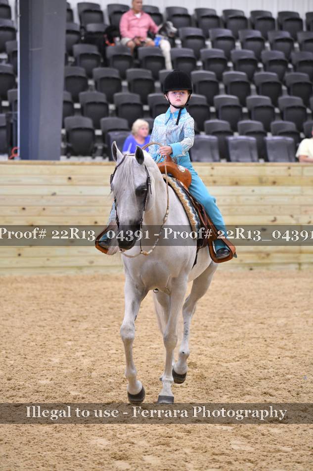 Proof 22R13_04391
