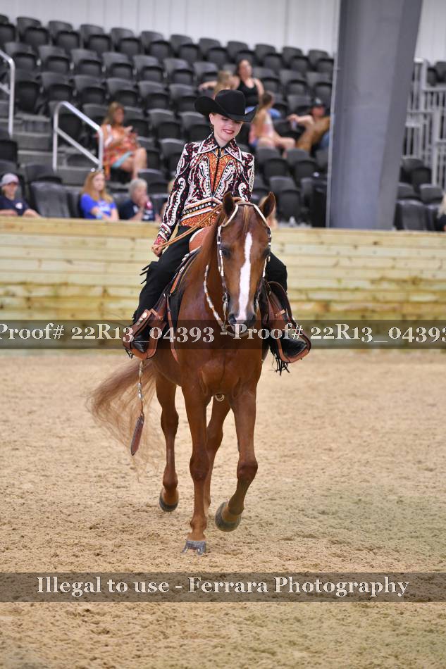 Proof 22R13_04393