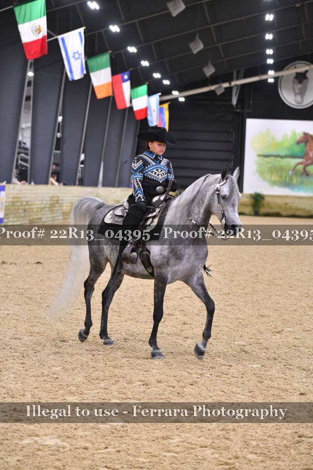Proof 22R13_04395