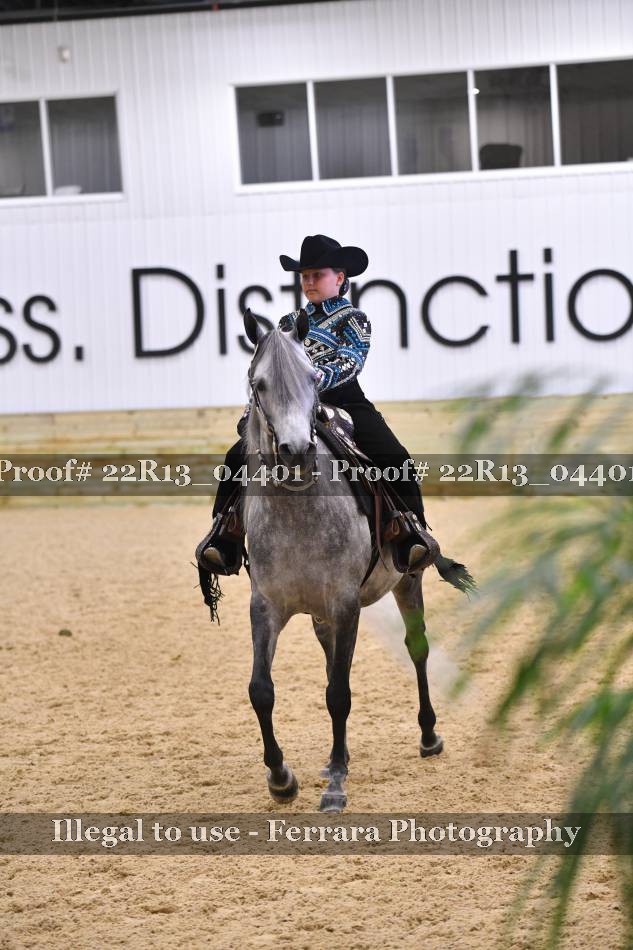 Proof 22R13_04401