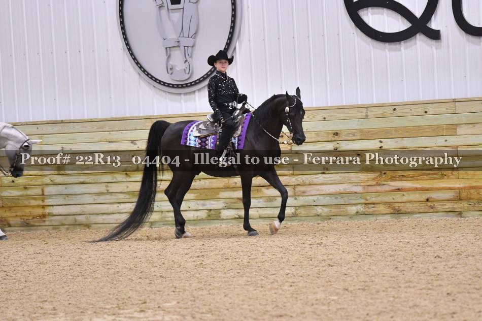 Proof 22R13_04404