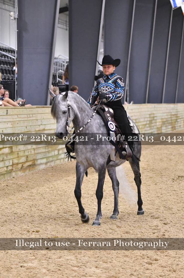 Proof 22R13_04421