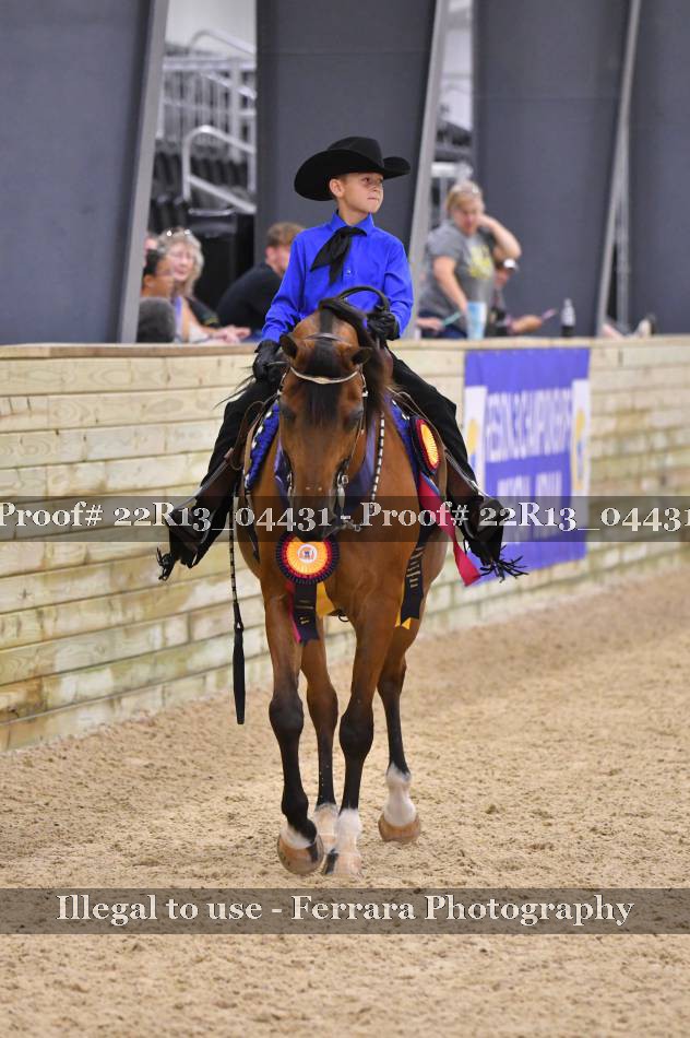 Proof 22R13_04431