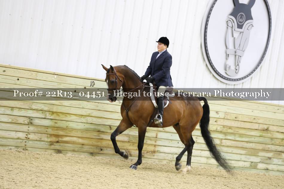 Proof 22R13_04451