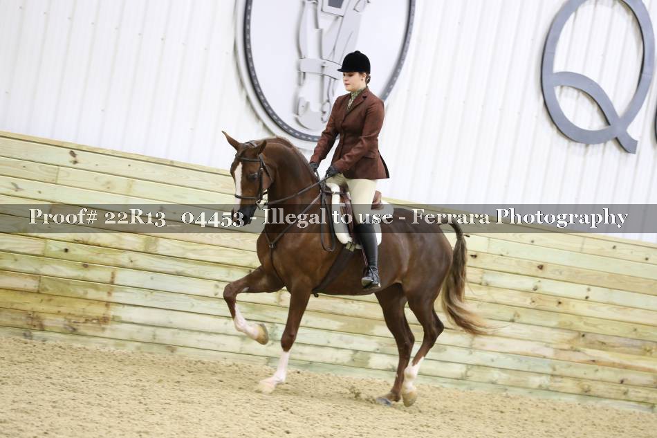 Proof 22R13_04453
