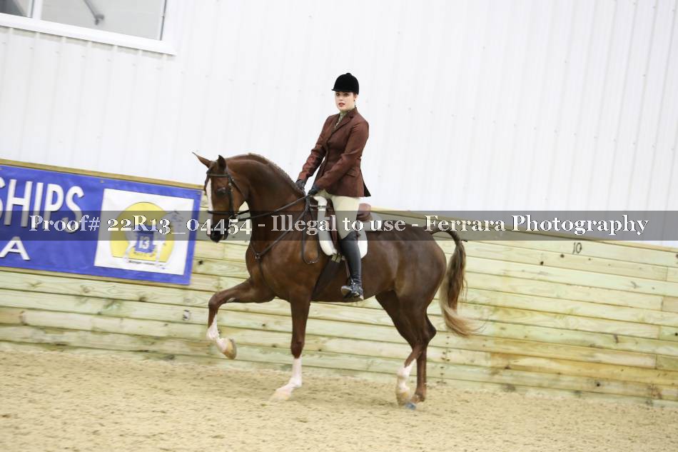 Proof 22R13_04454