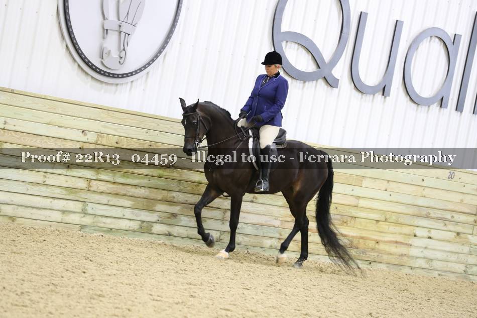 Proof 22R13_04459