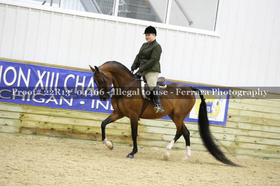 Proof 22R13_04466