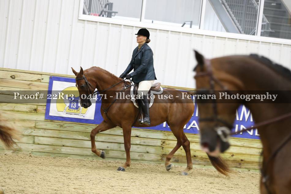 Proof 22R13_04471