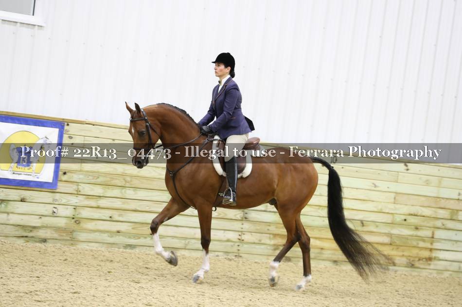 Proof 22R13_04473