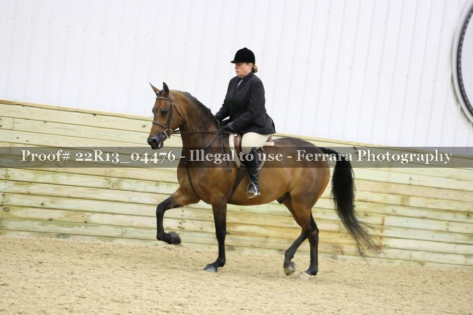 Proof 22R13_04476