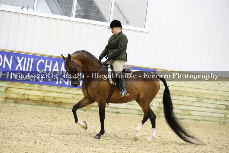Proof 22R13_04481