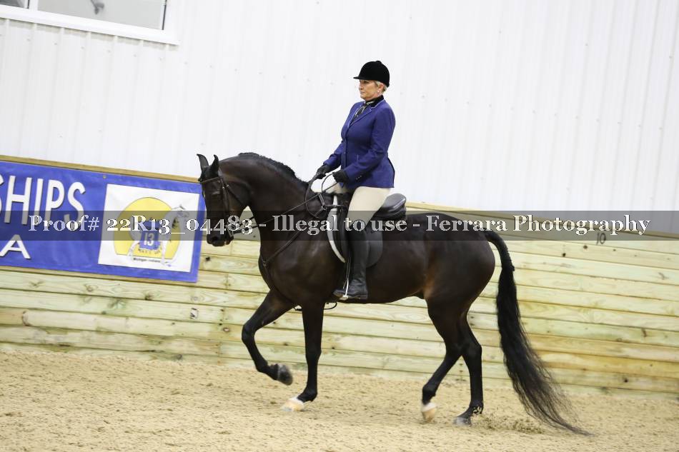 Proof 22R13_04483