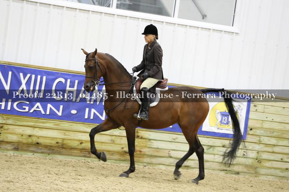 Proof 22R13_04485