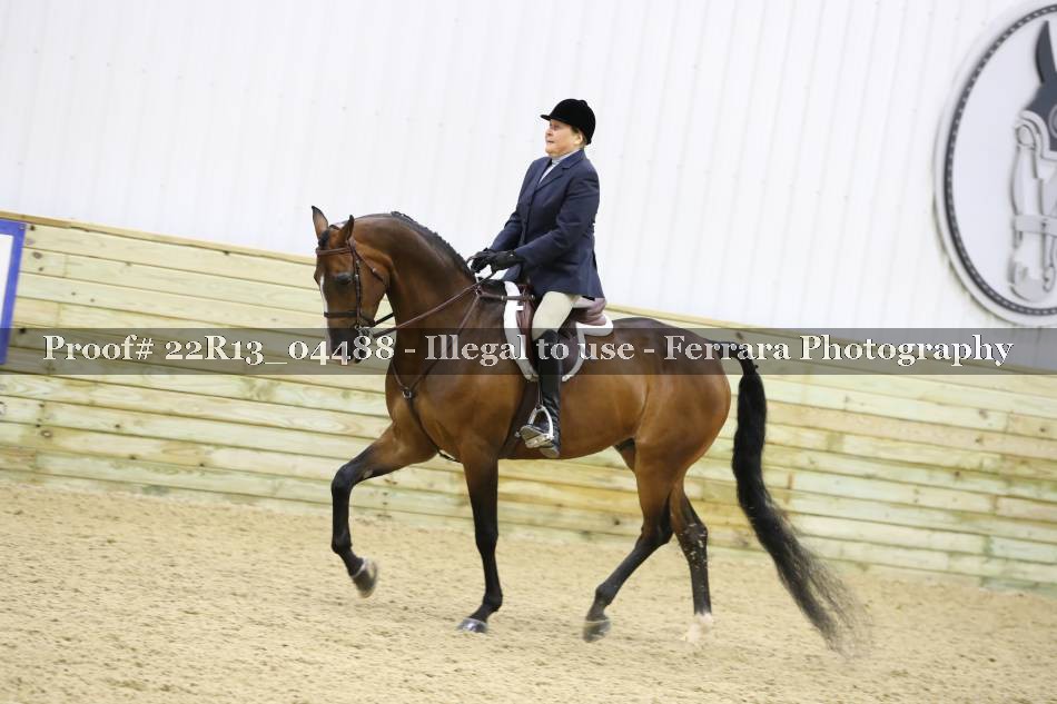 Proof 22R13_04488