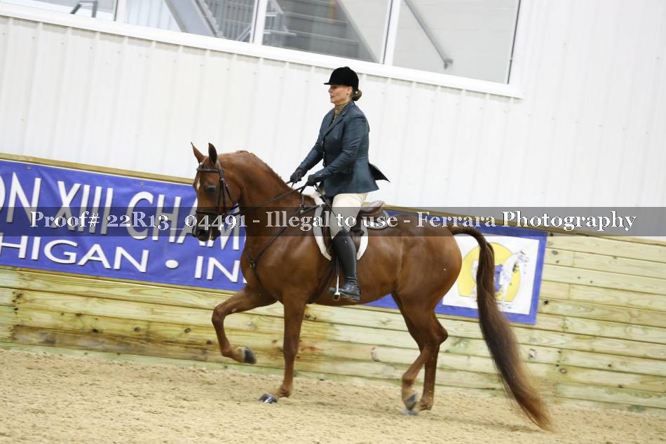 Proof 22R13_04491
