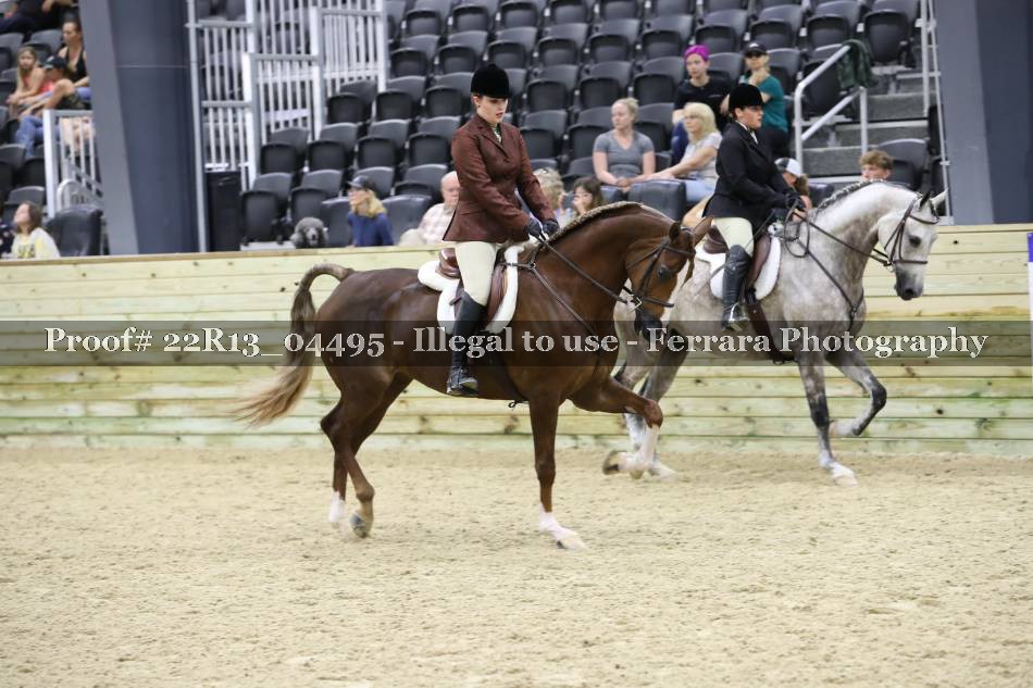 Proof 22R13_04495