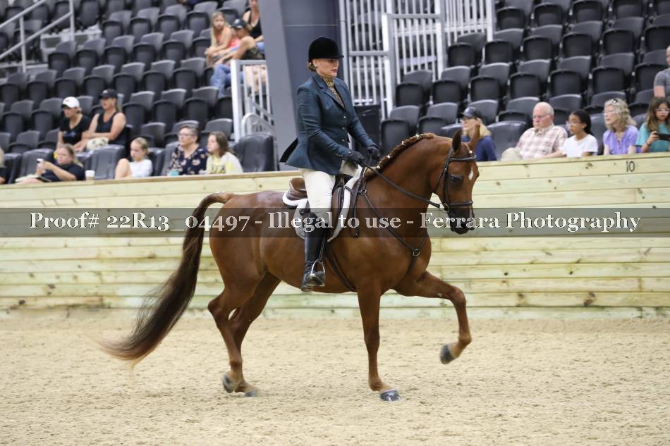 Proof 22R13_04497